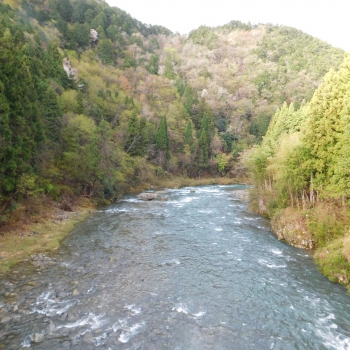 DSCN2937.JPG