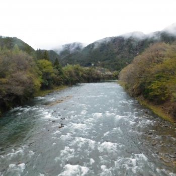 DSCN2948.JPG