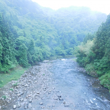 DSCN3096.JPG