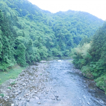 DSCN3151.JPG