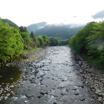 DSCN3205.JPG