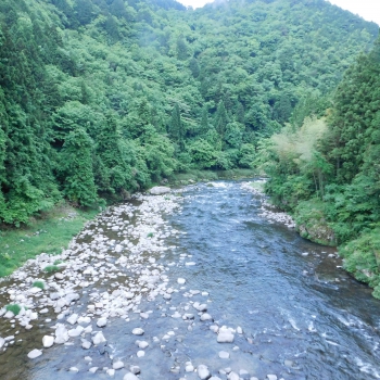 DSCN3296.JPG