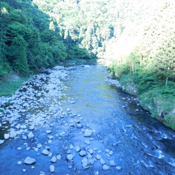 DSCN3300.JPG