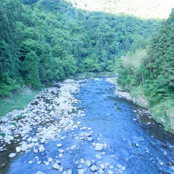 DSCN3304.JPG