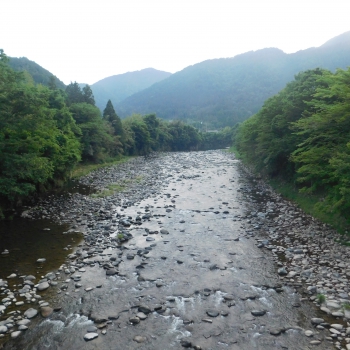 DSCN3446.JPG