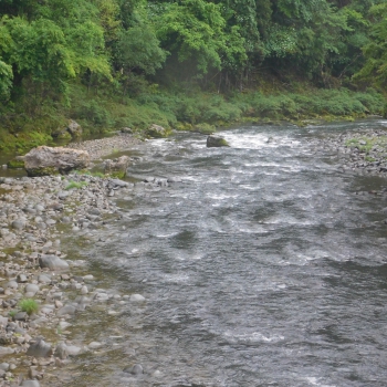 DSCN3448.JPG