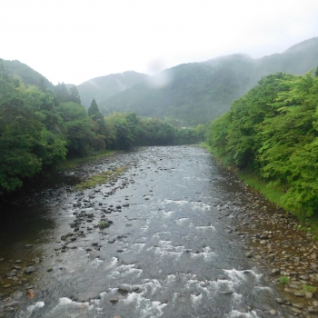 DSCN3450.JPG