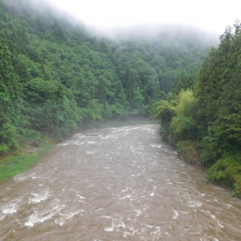DSCN3451.JPG