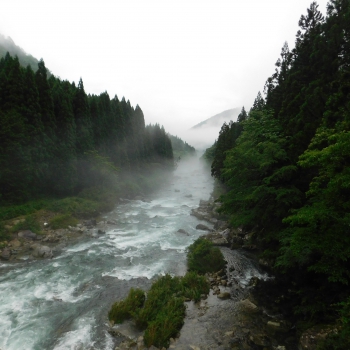 DSCN3471.JPG