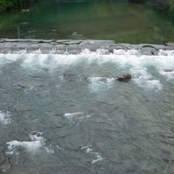 DSCN3474.JPG