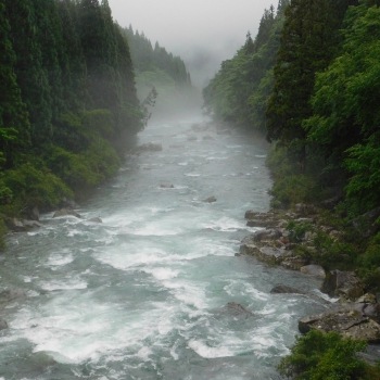 DSCN3492.JPG