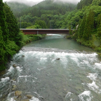 DSCN3494.JPG