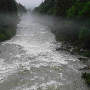 DSCN3501.JPG
