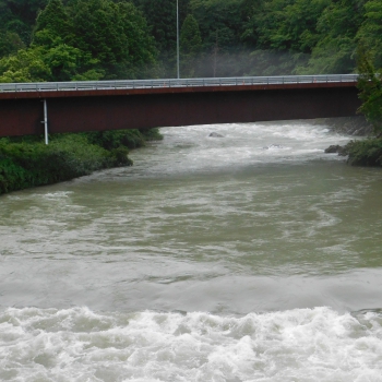 DSCN3503.JPG