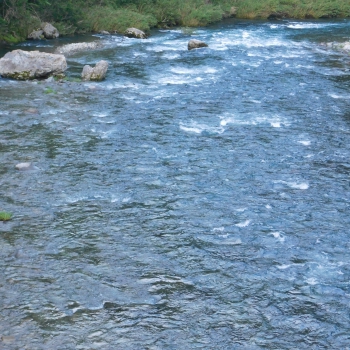 DSCN3509.JPG
