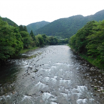 DSCN3531.JPG