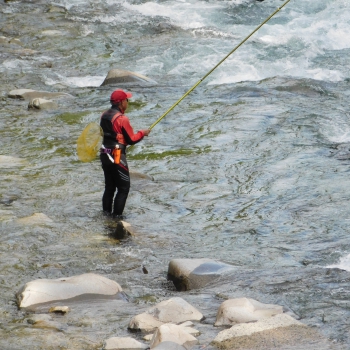 DSCN3540.JPG