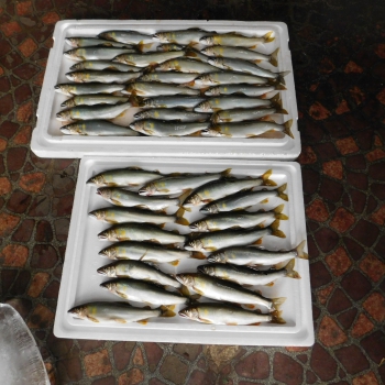 DSCN3542.JPG
