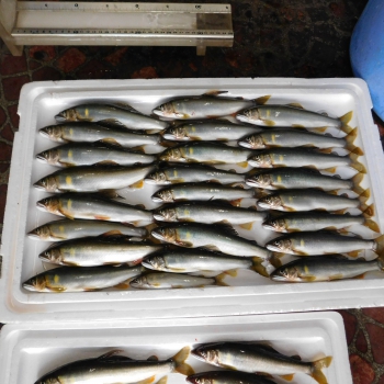 DSCN3559.JPG