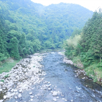 DSCN3624.JPG