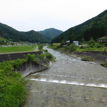 DSCN3678.JPG
