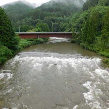 DSCN3692.JPG