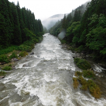 DSCN3693.JPG