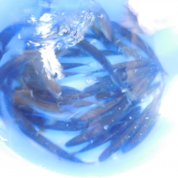 DSCN3702.JPG