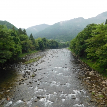 DSCN3703.JPG