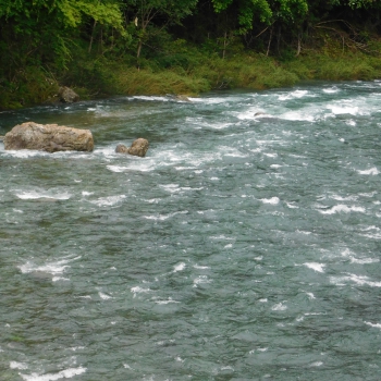 DSCN3720.JPG