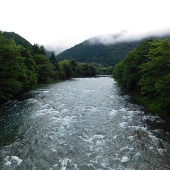 DSCN3722.JPG