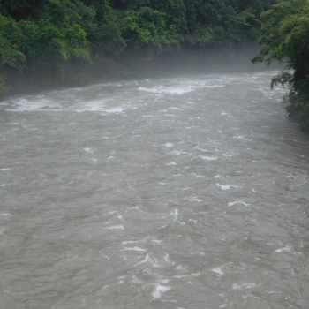 DSCN3732.JPG
