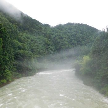DSCN3735.JPG
