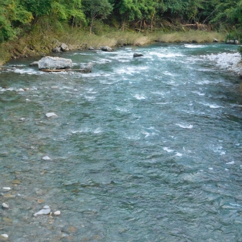 DSCN3930.JPG