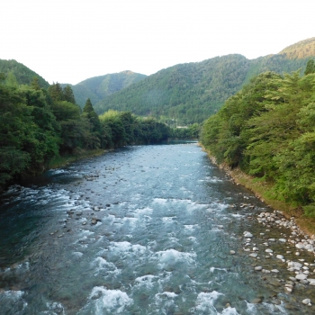 DSCN3932.JPG