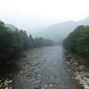 DSCN4018.JPG