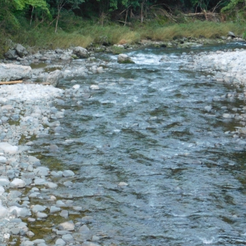 DSCN4024.JPG