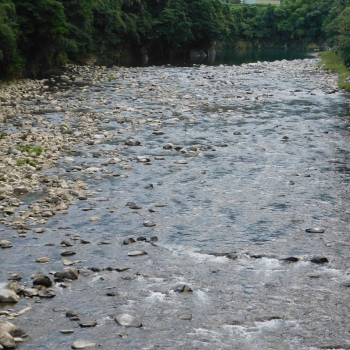 DSCN4033.JPG