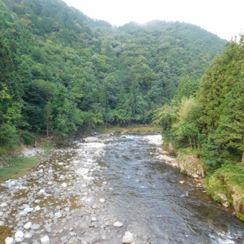 DSCN4035.JPG