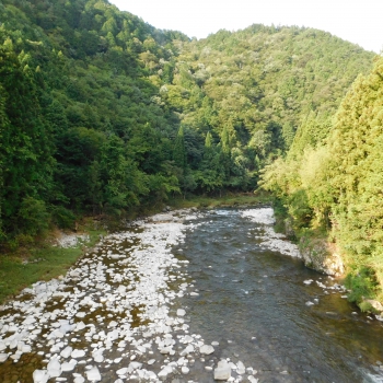 DSCN4076.JPG
