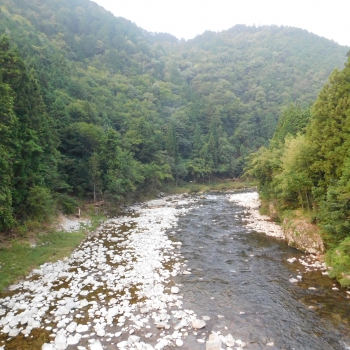 DSCN4088.JPG