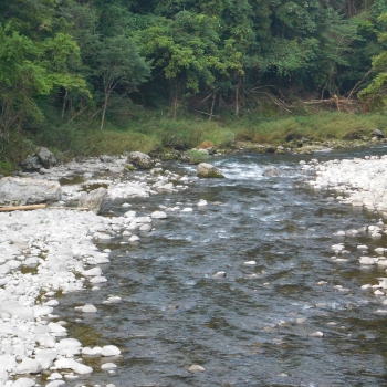 DSCN4089.JPG