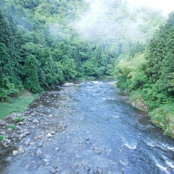 DSCN4089.JPG