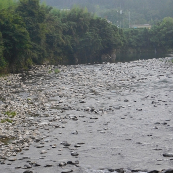 DSCN4090.JPG
