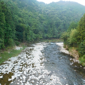 DSCN4100.JPG