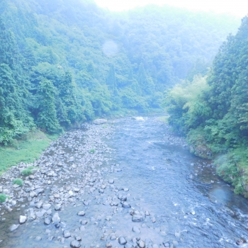 DSCN4101.JPG