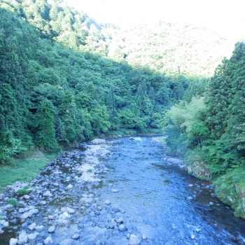 DSCN4105.JPG