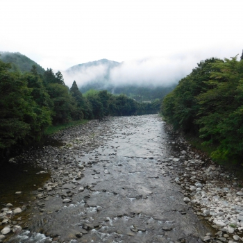 DSCN4107.JPG