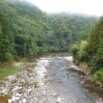 DSCN4108.JPG