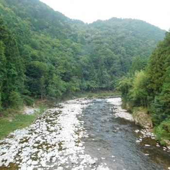 DSCN4112.JPG